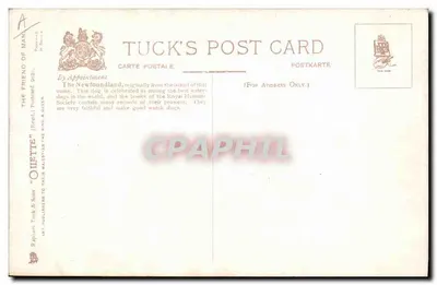 São Bernardo — retrato — Tuck's Post Card n°A — Verso