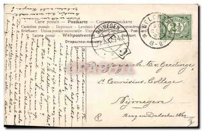 Bernhardiner — cão de pastoreio — editor Z 70/1 — Verso