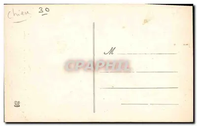 Viscos - Cão das Pirineus (2a Série) — Autotype Langlois Frères, Toulouse — Verso