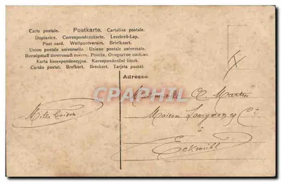 Cão de grande porte — criança ao lado — editor SG — Verso