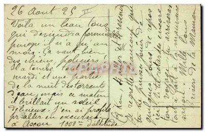 Cão jovem dos Pirineus (1 mês) — Viscos — 2ª série — n°1016 — Verso