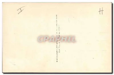 एक बुजुर्ग आदमी का चित्र — स्टूडियो डिक्स पेरिस — संख्या 1355/4 — पीछे