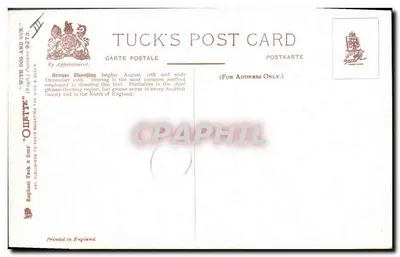 Chasse au Grouse — "Grouse Driving" — Tuck's Post Card n°9272 — Rewers