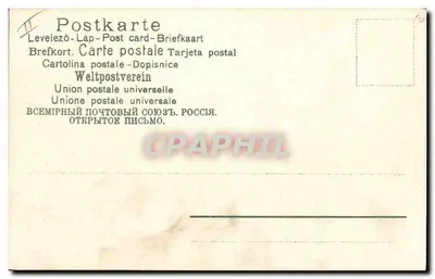 Cervo na floresta — ilustração — Ruth Friess — Verso