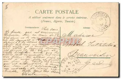 Daim nella foresta — scena animale — editore non visibile — Verso