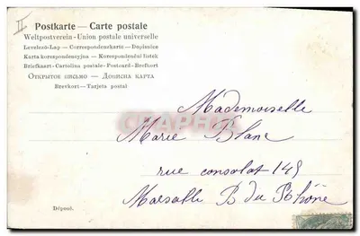 Dziki w krajobrazie lasowym — n° 2085 — Rewers