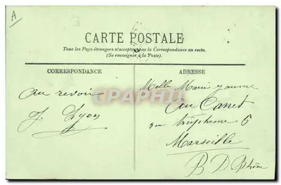 Pirinees hond — LL. — n° 207 — Achterkant