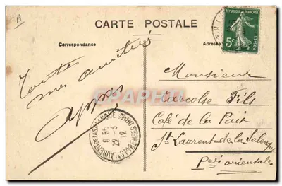 Pirinees hond — 2027 — MT LE — Achterkant