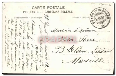 Cane del Grande San Bernardo — editore non visibile — numero di serie non visibile — Verso