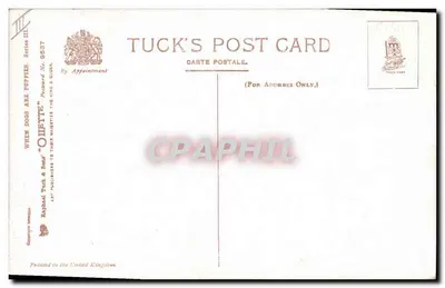 Perritos y patos — escena de jardín — Tuck & Sons, serie III n° 9537 — Reverso