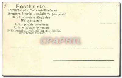 Samiec cerwia w spoczynku — ilustracja — Rich. Frieze — Rewers