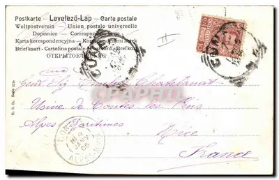 Fazenda rural — jovem menina alimentando um bezerro — E.S.D. Série 575 — Verso