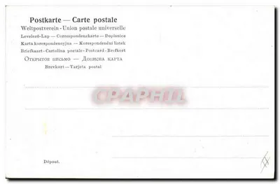 Dziki w krajobrazie lasowym — seria 2085 — wydawca nieznany — Rewers