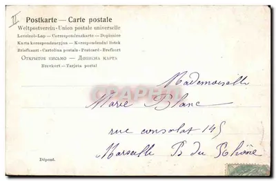 Dzik w lesie — Powodzenia myśliwowi — pocztówka — Union postale universelle — Rewers