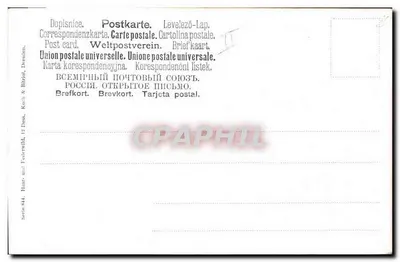 Dwa jeleń w krajobrazie lasowym — ilustracja Waltera M. Waldena — seria 844, wydawca Haar & Feierwild, Dresda — Rewers