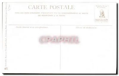 Dois Fox Terriers — em um paisagem florestal — editor Raphael Tuck & Sons Ltd, Londres — Verso