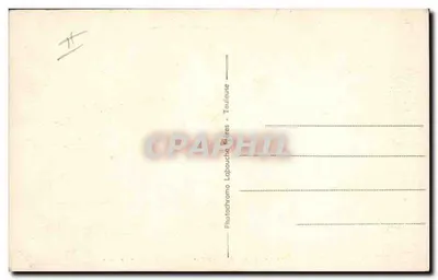 Grupo de cães dos Pirineus — Toulouse — editor Labouchaume — Verso