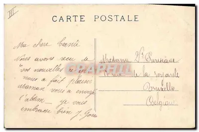 Cão jovem dos Pirineus — C.C. - 1076 — OS PIRINEUS — Verso