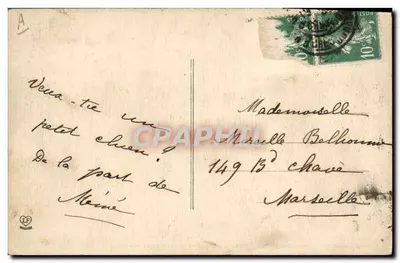 Cães das Pirineus — Uma ninhada de 5 dias — Fot. Labouche Fr. — Toulouse — n° 1023 — Verso