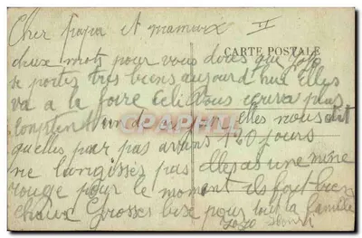 I Pirenei — Il padre, la madre e il figlio — editore non identificato, n. 6483 — Verso