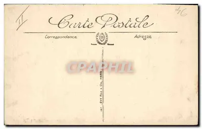 Pirinees hond — LL — n°11 — Achterkant