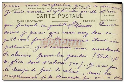 Les Pyrénées — 70 — Chiens de Montagne — Sireygeol, édit., Limoges-Lourdes — Verso