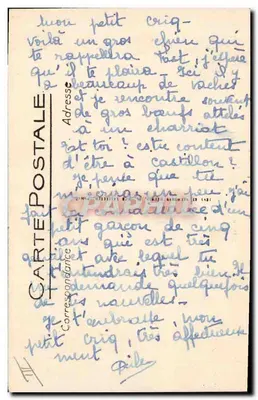 Cane dei Pirenei — Scène e Types des Pirenei — LL — Verso