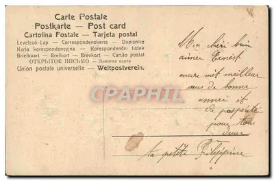Lírio — Flores de primavera — Carte postale universelle — Verso