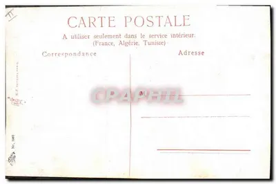 Cervo macho — cabeça com chifres — editor K.F. TURBENS, n° 1987 — Verso