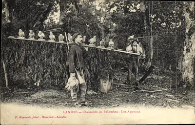Lande - Pfeifenhüter - Les Appeaux — F. Bernede, Fotografie, Morcenx - Landes