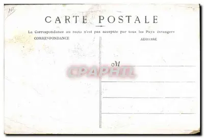 Femme au volant d'une voiture à cheval — scène de campagne avec chiens — éditeur non visible — Verso