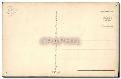 자주색 드레스를 입은 여성과 개 — T. Cordella — 시리즈 237 — 뒷면