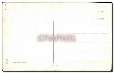 Russisch jachthond — Levrier Russo — F.&C.M. — Achterkant