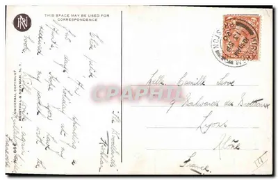 Jeune femme et chien borzoi — Automne — Éditeur Reinthal & Newman, N.Y. — Verso