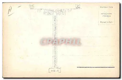 Dois cães — ilustração — A. Terzini — Verso