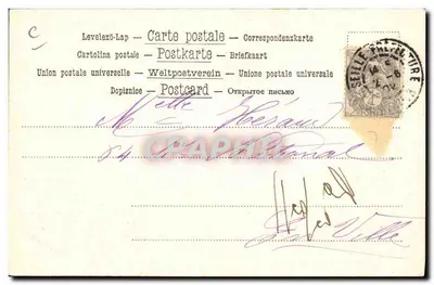 Due cani irlandesi — M-B-M No. 575 — editore M-B-M — Verso