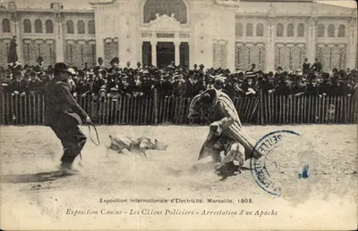 Antika kartpostal Köpekler Elektrik Uluslararası Sergisi Marsilya 1903 Köpek Sergisi Polis Köpekleri Bir Apache Yerli'nin Tutukuluğu Polis Polis TOP