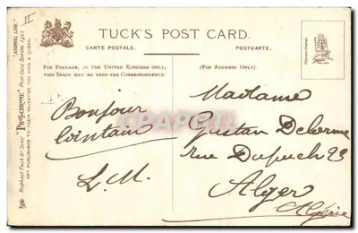 Pszczółki spanielskie — Oczekiwanie — Tuck's Post Card, seria 'Animal Life' n°123 — Rewers
