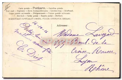 Cão Pomerânia — ilustração — editor não visível — Verso
