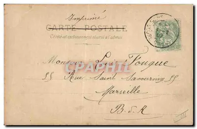 Cachorro pug — retrato — carte postale impressa — Verso