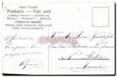 Arranjo de violetas e flores de laranjeira — sinos dourados — editor não visível — Verso