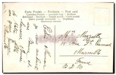 Rosieri rosa — in un vaso — editore sconosciuto — Verso