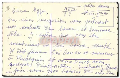 Mazzo di crisantemi — Buon compleanno — E. Quin — Verso