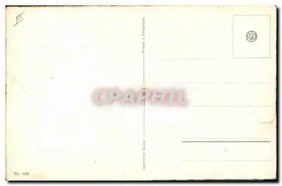 Fiori di crisantemi — illustrazione — Stampa in Svizzera, n° 506 — Verso