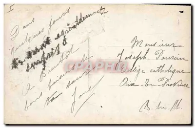 Bilhete postal antigo Cachorro Cães — Verso