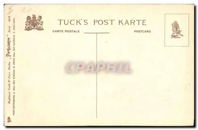 Cão ferido — cabeça e patas com bandagens — Tuck's Post Karte, série 397 B — Verso
