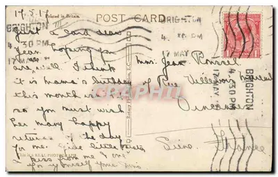 Cinco filhotes — Brighton — editor A.707 — Verso
