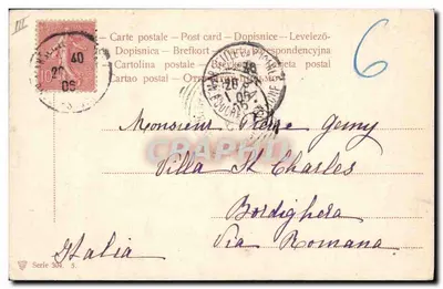 Cão e filhotes — Border collie e seus filhotes — editor não identificado, série 304 — Verso