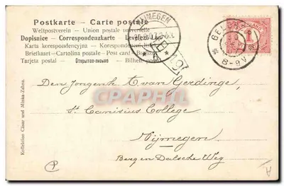Deutsche Dogge (gestreift) — retrato de um cão com pelagem manchada — editor A.Z. 7140 — Verso
