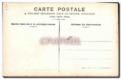 Cane che gioca con una palla — Boissonnas & Magnin Lyon — Verso